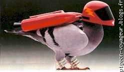 nouveau concept de pigeon "sub-voyageur"!